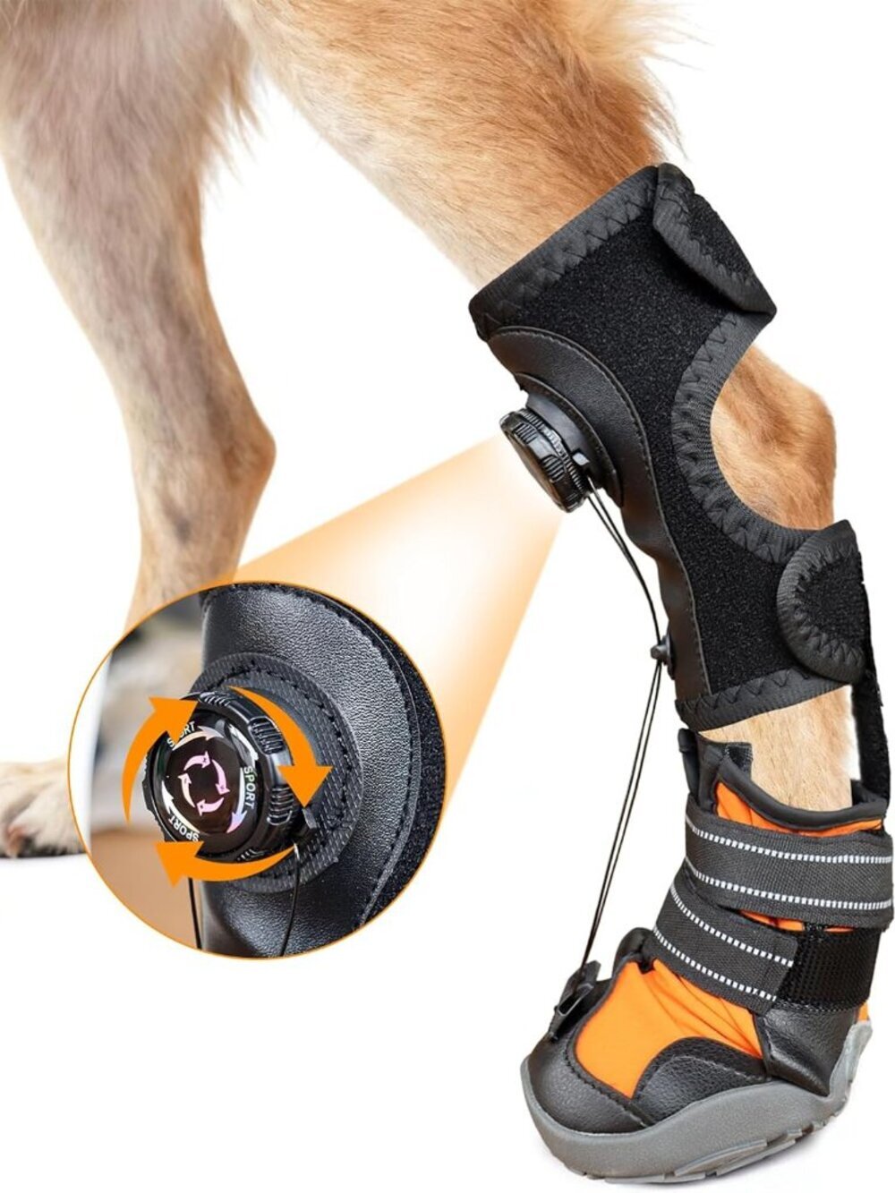 No Knuckling Brace for Dogs